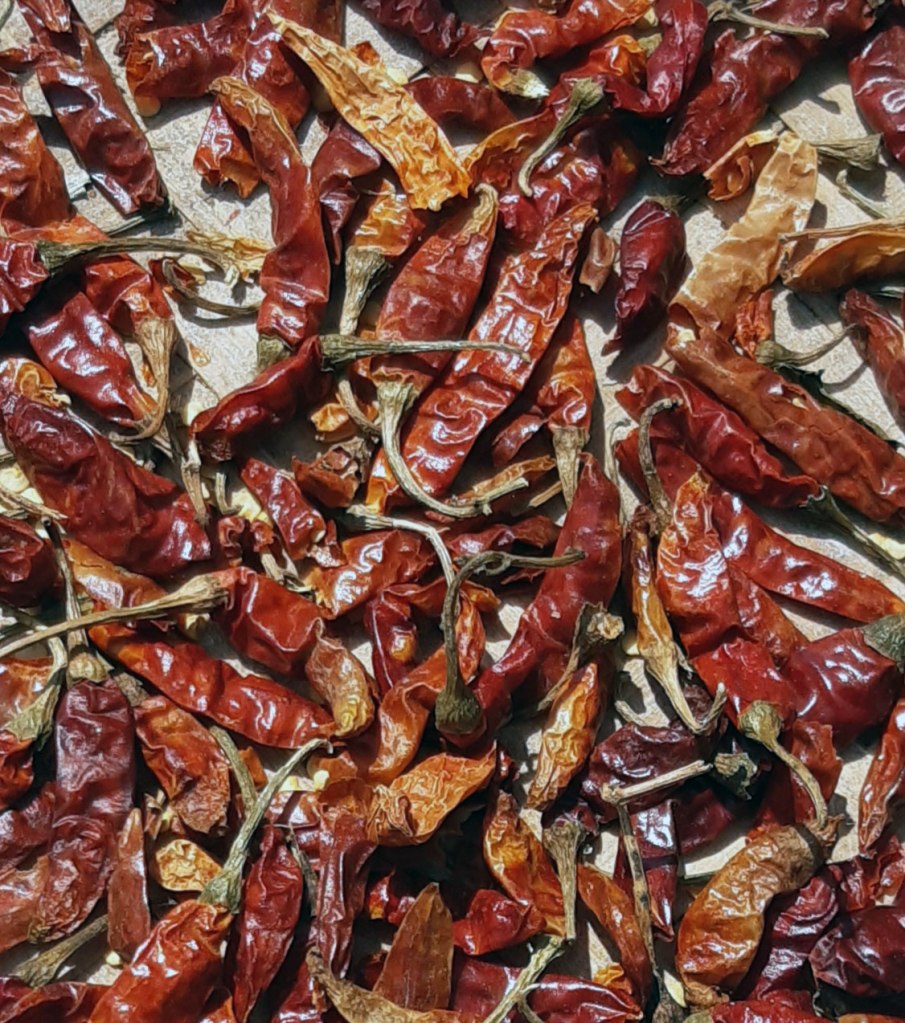 original image by Sabina Bajracharya CC BY-SA 4.0